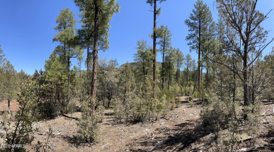 20211117213453444695000000-o