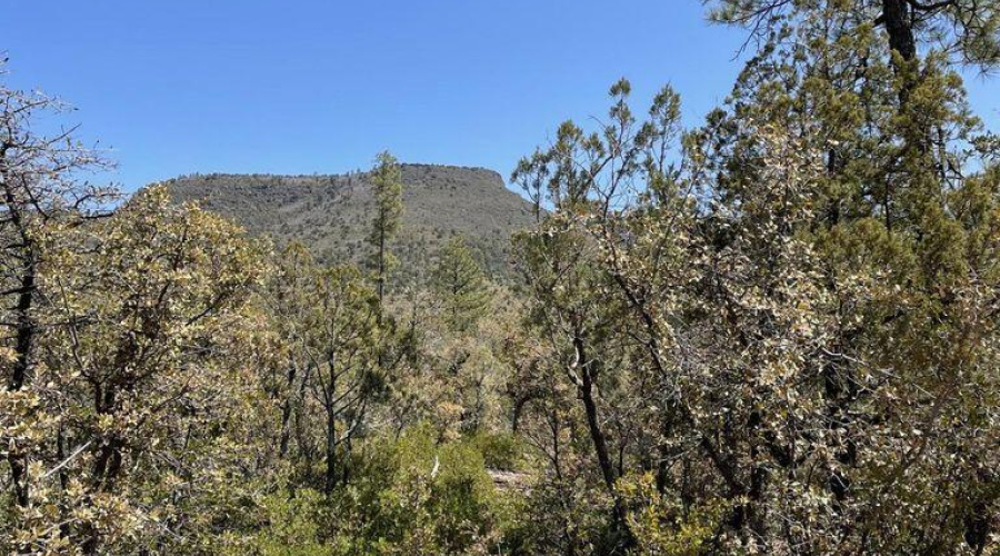 20211117213453381995000000-o