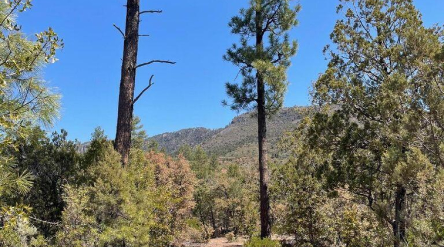 20211117213453262333000000-o