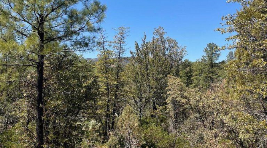 20211117213453196328000000-o