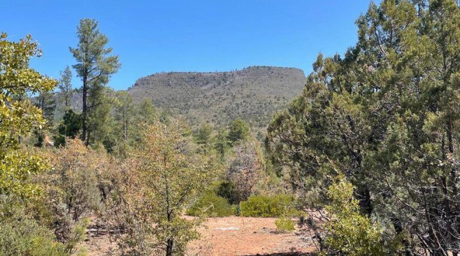 20211117213453062491000000-o