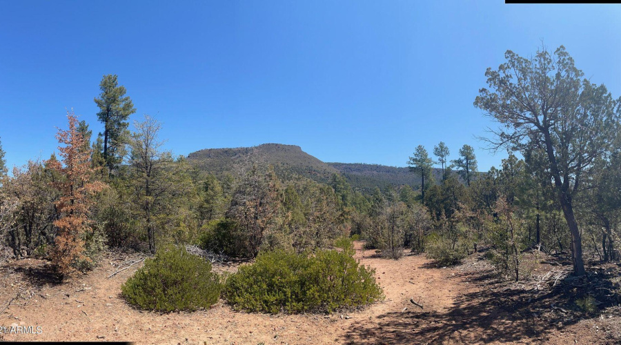 20211117213452988160000000-o