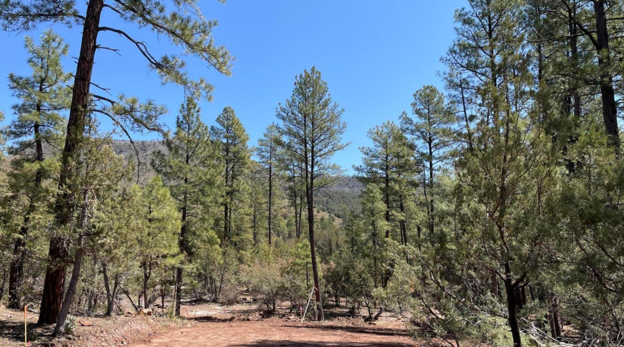 20210403153920449569000000-o