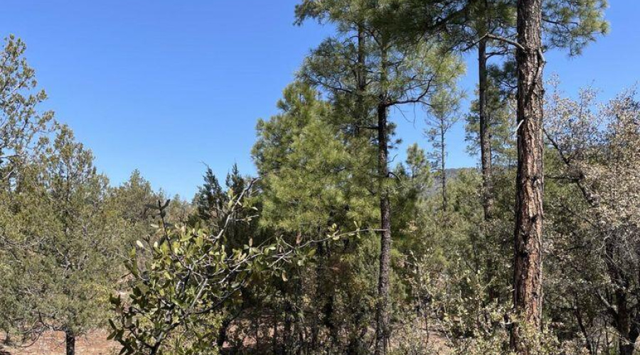 20211117213452919873000000-o