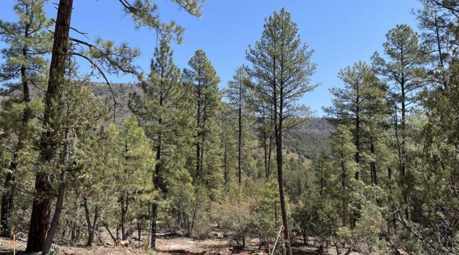 20211117213452783522000000-o