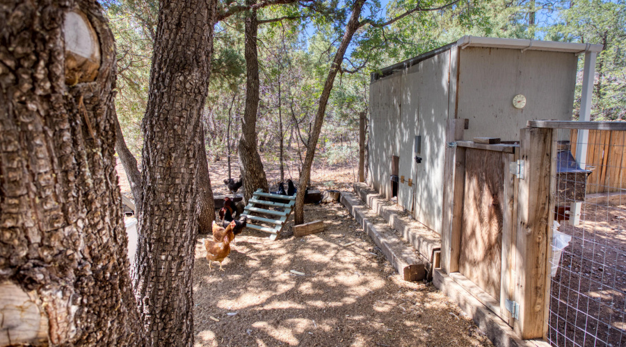 2611 Ellsworth Avenue, Show Low