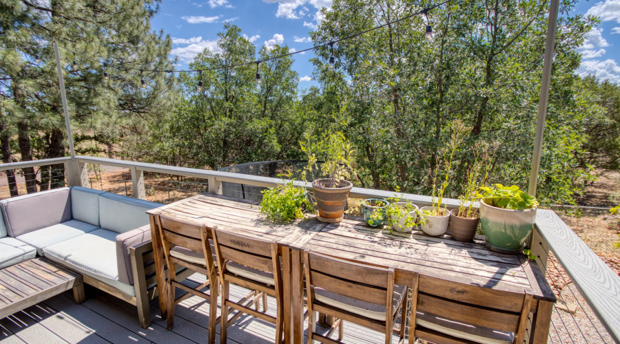 paxmanphoto_PAX_7001