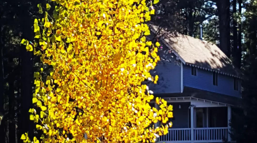 IMG_20211101_133211_085