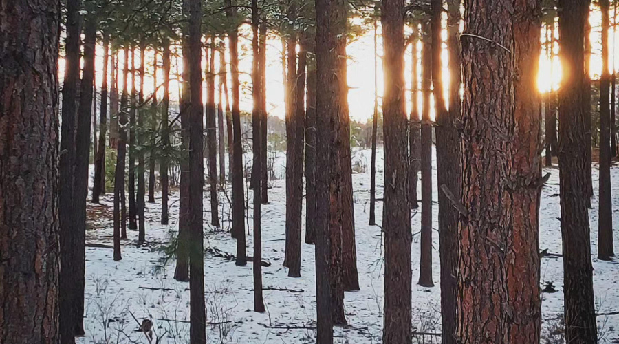 IMG_20240106_144155_043