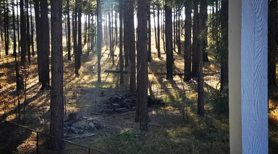 IMG_20211101_134122_630