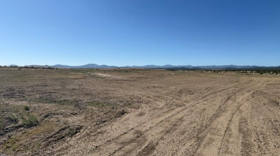 Level with Distant View