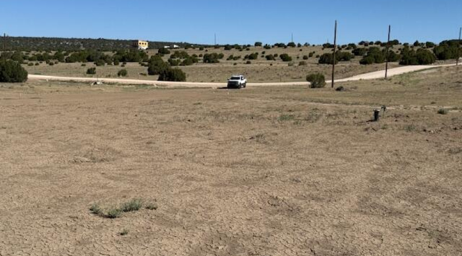 View to road from back of property