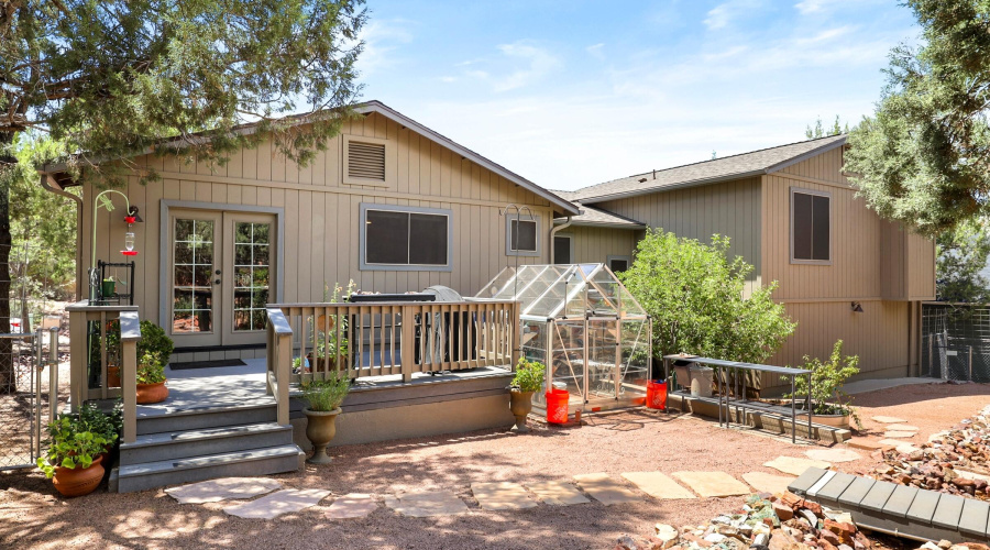 Fruit Trees in Back Yard