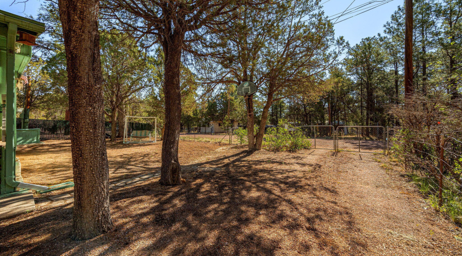 2888Dale-Heber-AZ-22