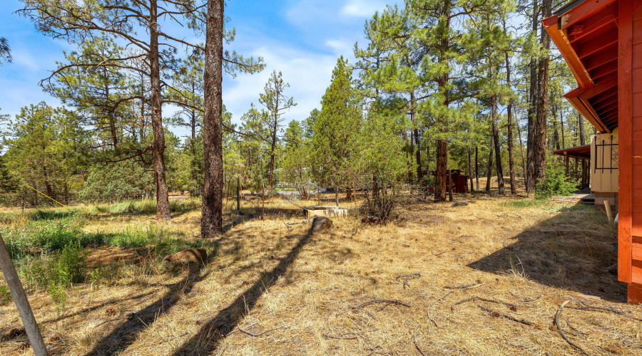 4914DeerValley-WagonWheel-AZ-26