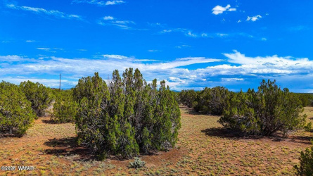 8730 Coronado Drive, Show Low, Arizona 85901, ,Land,For Sale,Coronado,257006