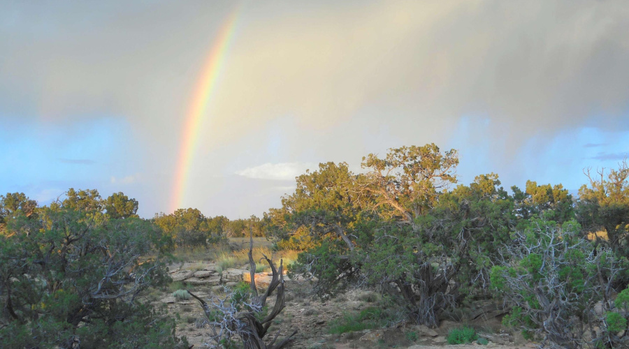 Backyard-View-from-Waterfall-Lookout