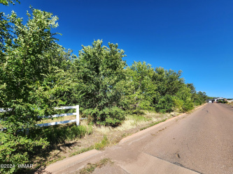 TBD 19th Street, Snowflake, Arizona 85937, ,Land,For Sale,19th Street,257012