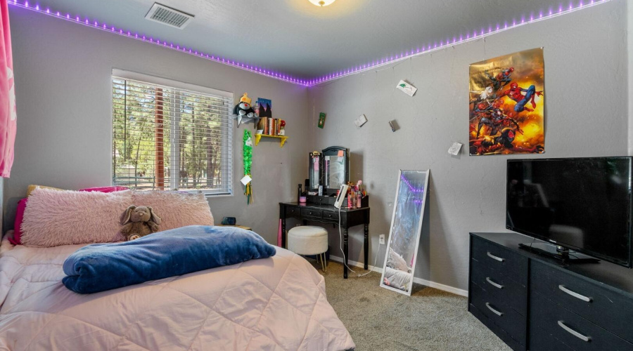 2nd Downstairs Bedrom