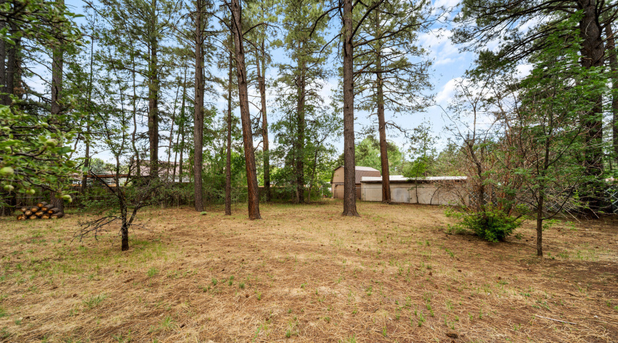 twinflamerealestatemedia-22