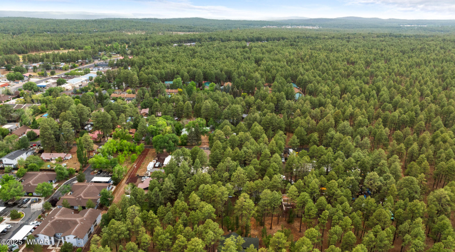 twinflamerealestatemedia-34