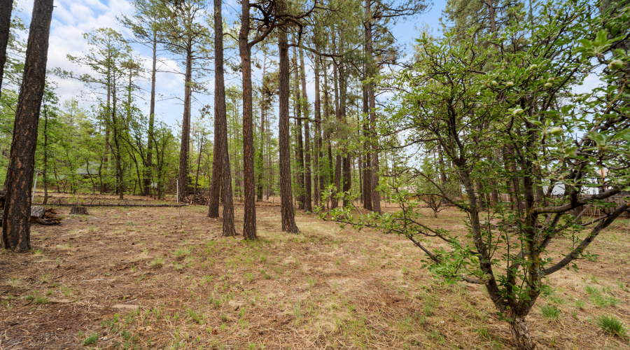 twinflamerealestatemedia-23