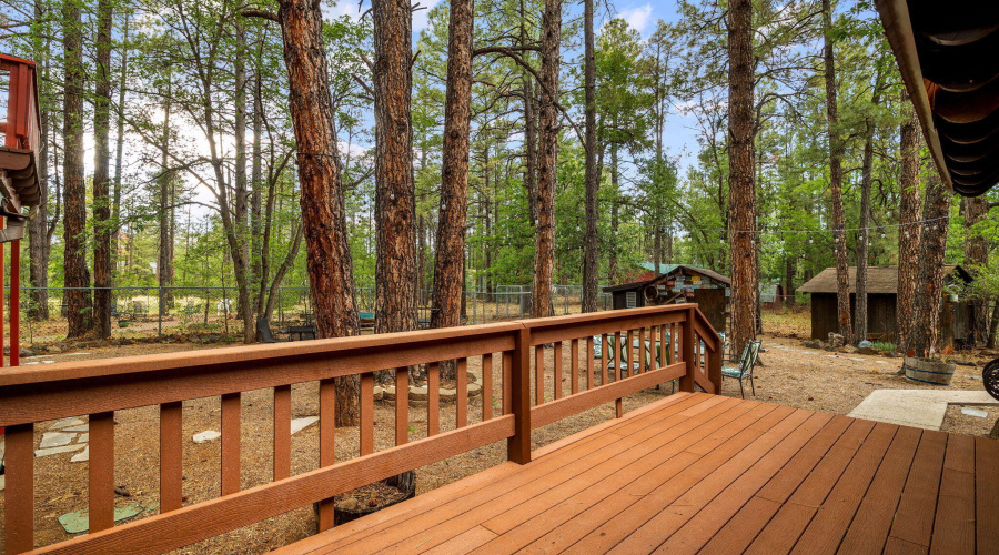 2444SJanLn-Pinetop-AZ-42