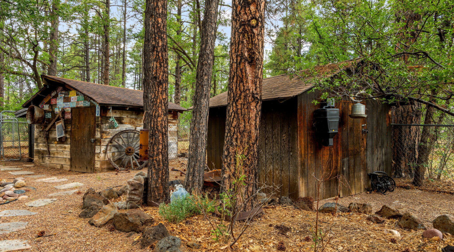 2444SJanLn-Pinetop-AZ-46