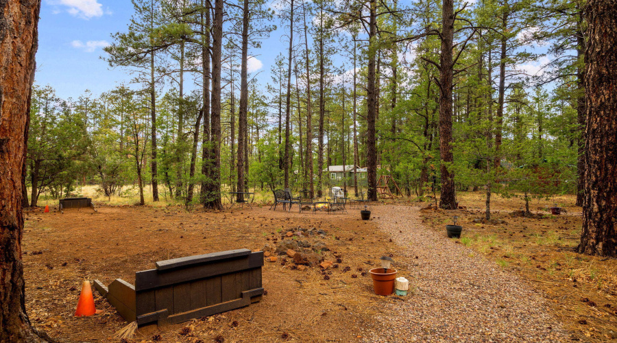 2444SJanLn-Pinetop-AZ-47