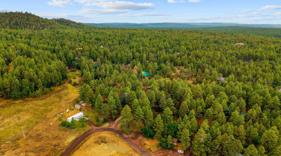 2444SJanLn-Pinetop-AZ-52