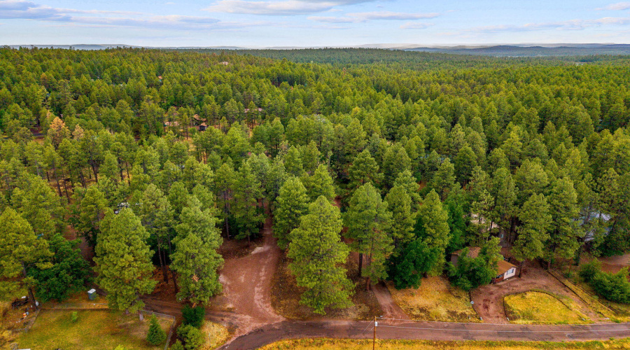 2444SJanLn-Pinetop-AZ-51