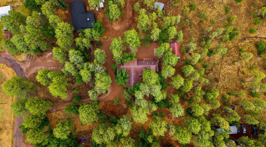 2444SJanLn-Pinetop-AZ-53