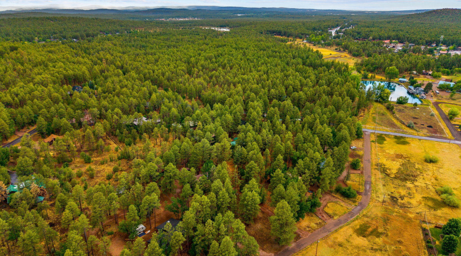 2444SJanLn-Pinetop-AZ-54