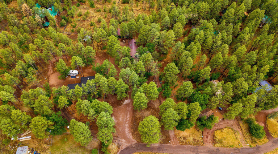 2444SJanLn-Pinetop-AZ-55