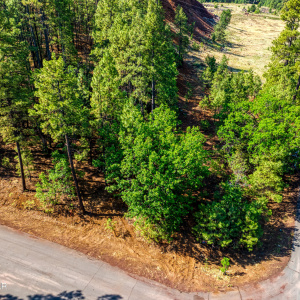 6281 Bent Oak Drive, Pinetop AZ 85935