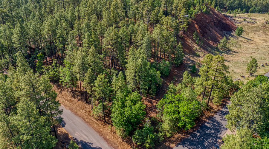 6281 Bent Oak Drive, Pinetop AZ 85935