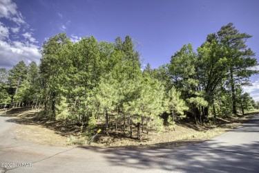 6281 Bent Oak Drive, Pinetop, Arizona 85935, ,Land,For Sale,Bent Oak,257019