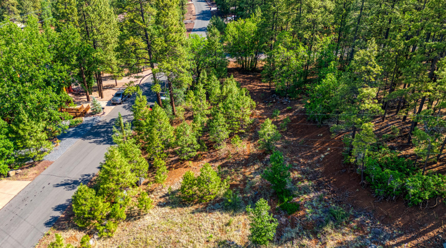 6281 Bent Oak Drive, Pinetop AZ 85935