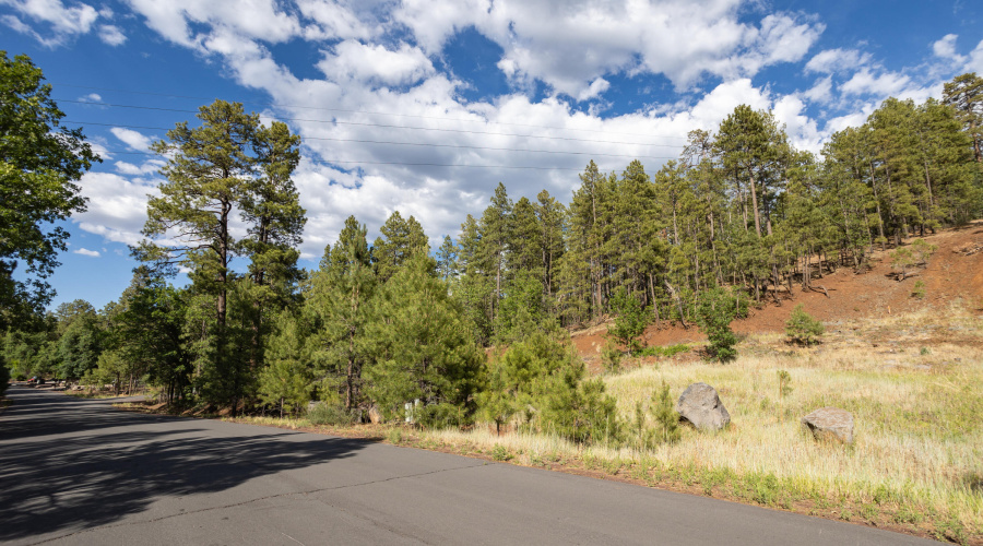 6281 Bent Oak Drive, Pinetop AZ 85935