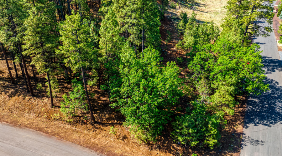 6281 Bent Oak Drive, Pinetop AZ 85935