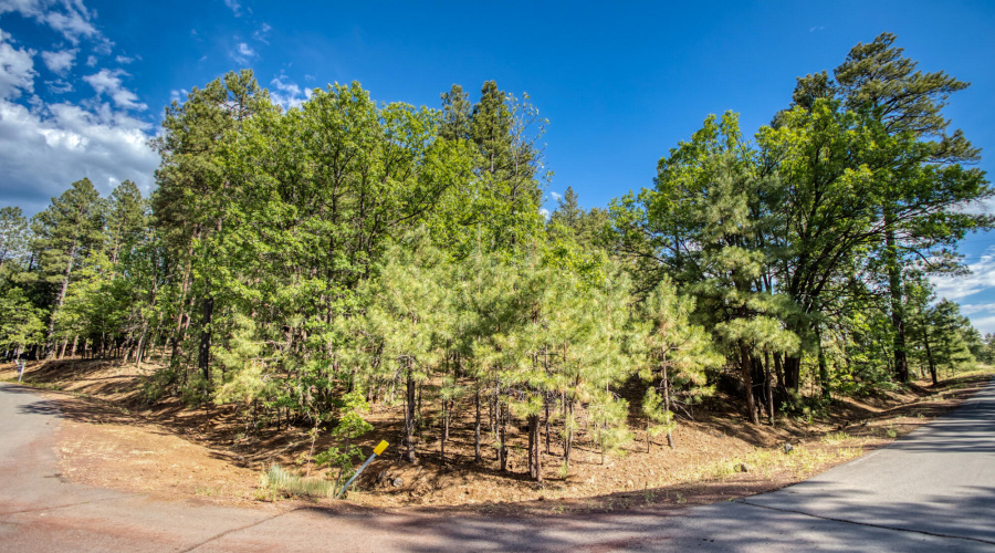 6281 Bent Oak Drive, Pinetop AZ 85935