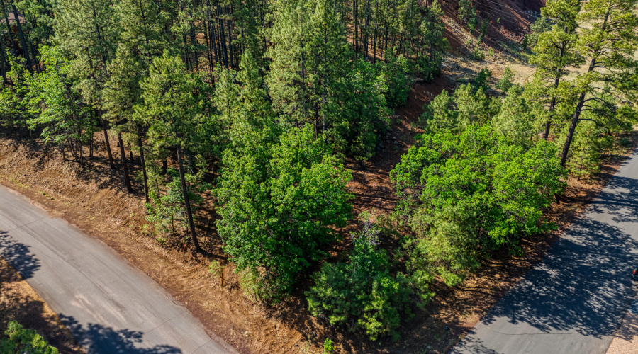 6281 Bent Oak Drive, Pinetop AZ 85935