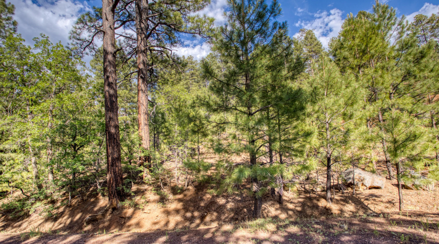 6281 Bent Oak Drive, Pinetop AZ 85935