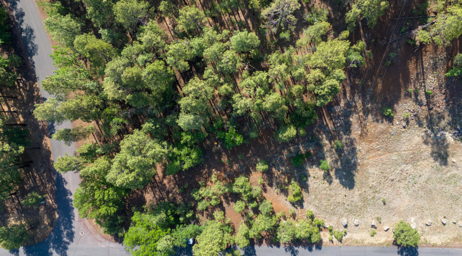 6281 Bent Oak Drive, Pinetop AZ 85935