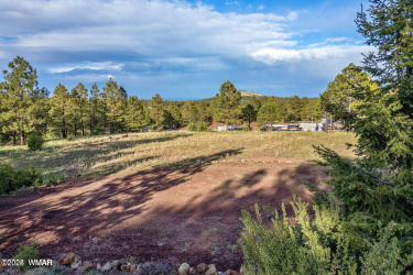 34 N 1330, Greer, Arizona 85927, ,Land,For Sale,N 1330,257025