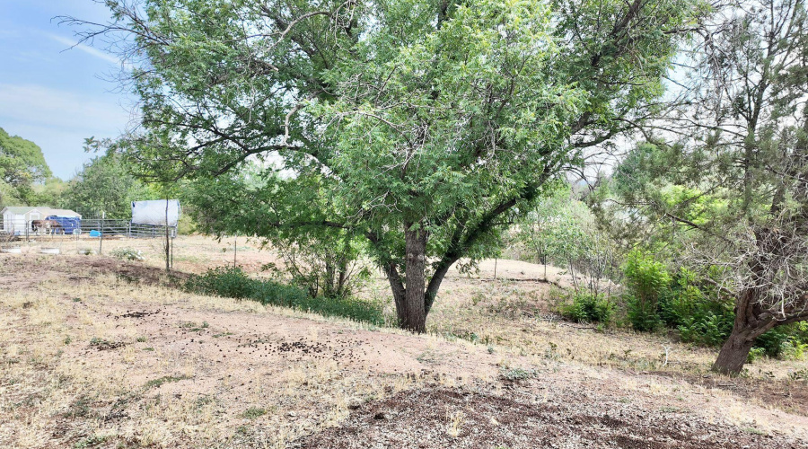 WhatsApp Image 2025-07-16 at 9.34.33 AM