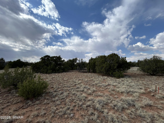 291 County Rd 8052, Concho, Arizona 85924, ,Land,For Sale,County Rd 8052,257038