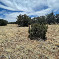 29 County Road 8069, Concho, Arizona 85924, ,Land,For Sale,County Road 8069,257042