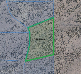 Lot 99 Woodland Valley Ranch, St. Johns, Arizona 85936, ,Land,For Sale,Woodland Valley Ranch,257031