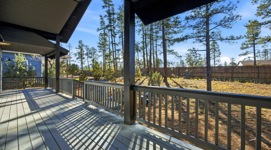 Covered back deck with trex